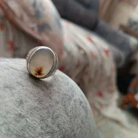 انگشتر شجر سید تهران