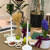 مدیر داخلی آکادمی آموزشی و علمی