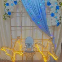 پروانه جفت باهم فروخته میشه