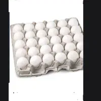 فروش تخم مرغ