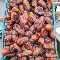 رطب و خرمای درجه یک. عمده ای