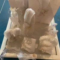 باکس کامل بله برون کاملا نو