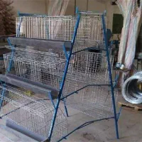 قفس منبری مرغ تخم گذار با تجهیزات کامل