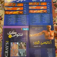 آناتومی پزشکی گری