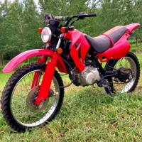 تریل جی وای مزایده