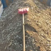 کودمرغ ،کودمرغی زل سالنی درجه یک نقدونسیه.