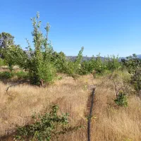 راهنمای