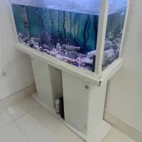 اکواریوم زیبا وبزرگ