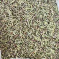 کهلی اوتو تمیز