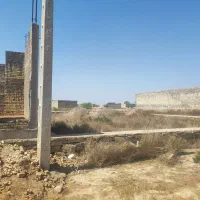 زمین-مسنی-شده-تک-برگ-سند-در-شهرک-الغدیر
