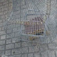 قفس پرنده