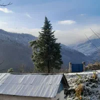 زمین مسکونی