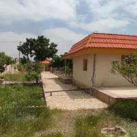 باغچه اماده /کاهو دشت گلستان