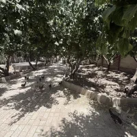 باغ-فروشی-600-متری-تهران-کرج-اندیشه