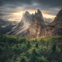 سیم کارت رُند ایرانسل