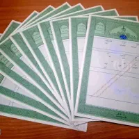 یک-قطعه-زمین-250مترمربع-واقع-در-سرجاز-تک-برگ