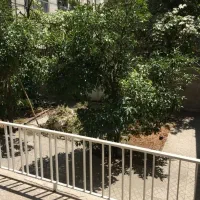 ۳۲۵متر مستغلات  مناسب کار و زندگی در ۲ طبقه فول