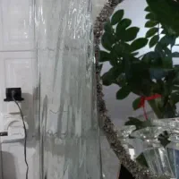 تعدادی گلدون گل