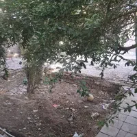 اتاق اجاره ای