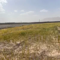 زمین-تجاری-دو-کله