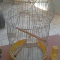 قفس پرنده