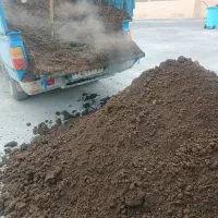 کودگاوی کود حیوانی ورمی کود گاوی آستان قدس رضوی