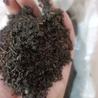 چای درجه یک گیلان زیر قیمت کارخانه