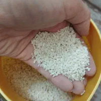 نیم دانه کهنه بی مزه مخصوص پرنده