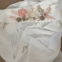 هدشال مجلسی