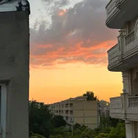 همخونه خانم بدون حاشیه