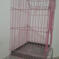 قفس