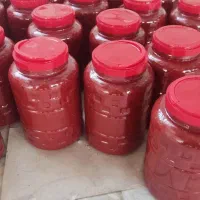 رب گوجه‌فرنگی