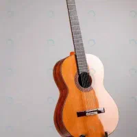 آموزش گیتار و فروش گیتار