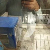 کولر آبی 4000