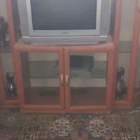 تلوزیون