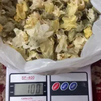 گل ختمی خشک شده