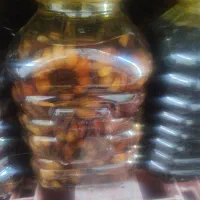 ترشی سیر