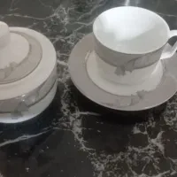 فنجون ونعلبکی چینی زرین