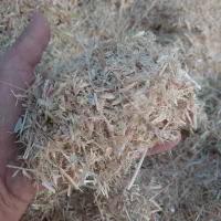 کاه گندم کاهکوب