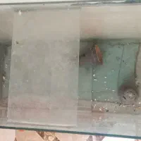آکواریوم