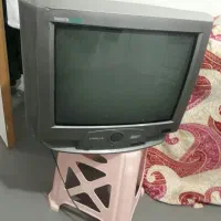تلوزیون