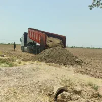 کود مرغی