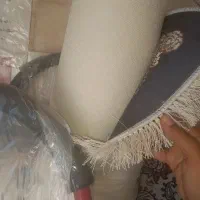 فرشینه|فرش|اهواز, بیست متری شهرداری|دیوار