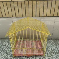 قفس