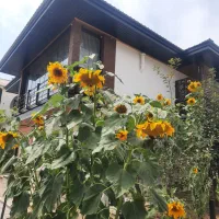 ویلای مدرن و فول مبله شهرکی  (جنگلی - کوهستانی)