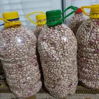 لوبیا چیتی تمیز و درشت