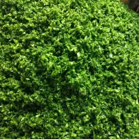 سبزی خردکنی پاک کردن و سرخ کردن