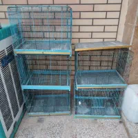 قفس بزرگ قدیمی و جاساز ۱۶تایی و جوجه پران