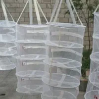 توری سبزی خشک کن