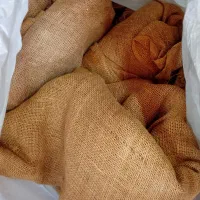 گونی
